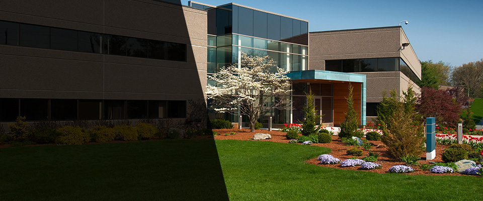 Scarsdale Landscapers