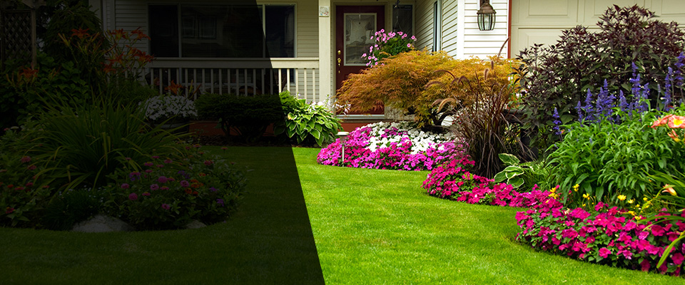Scarsdale Landscapers