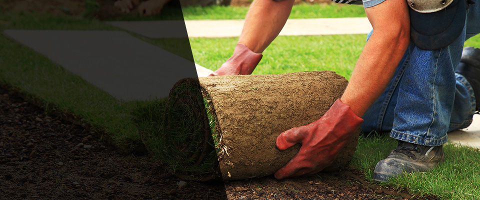 Scarsdale Landscapers